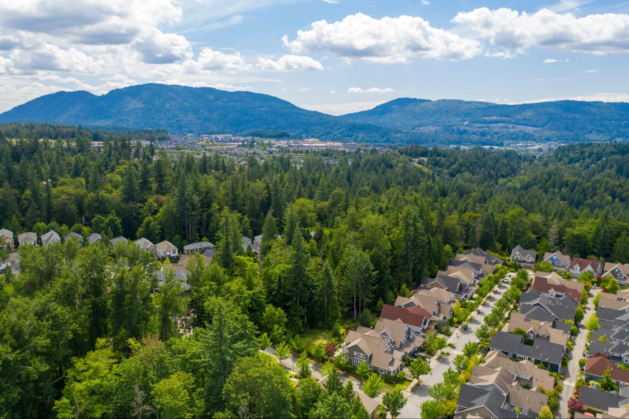 Placeholder for Issaquah city photo