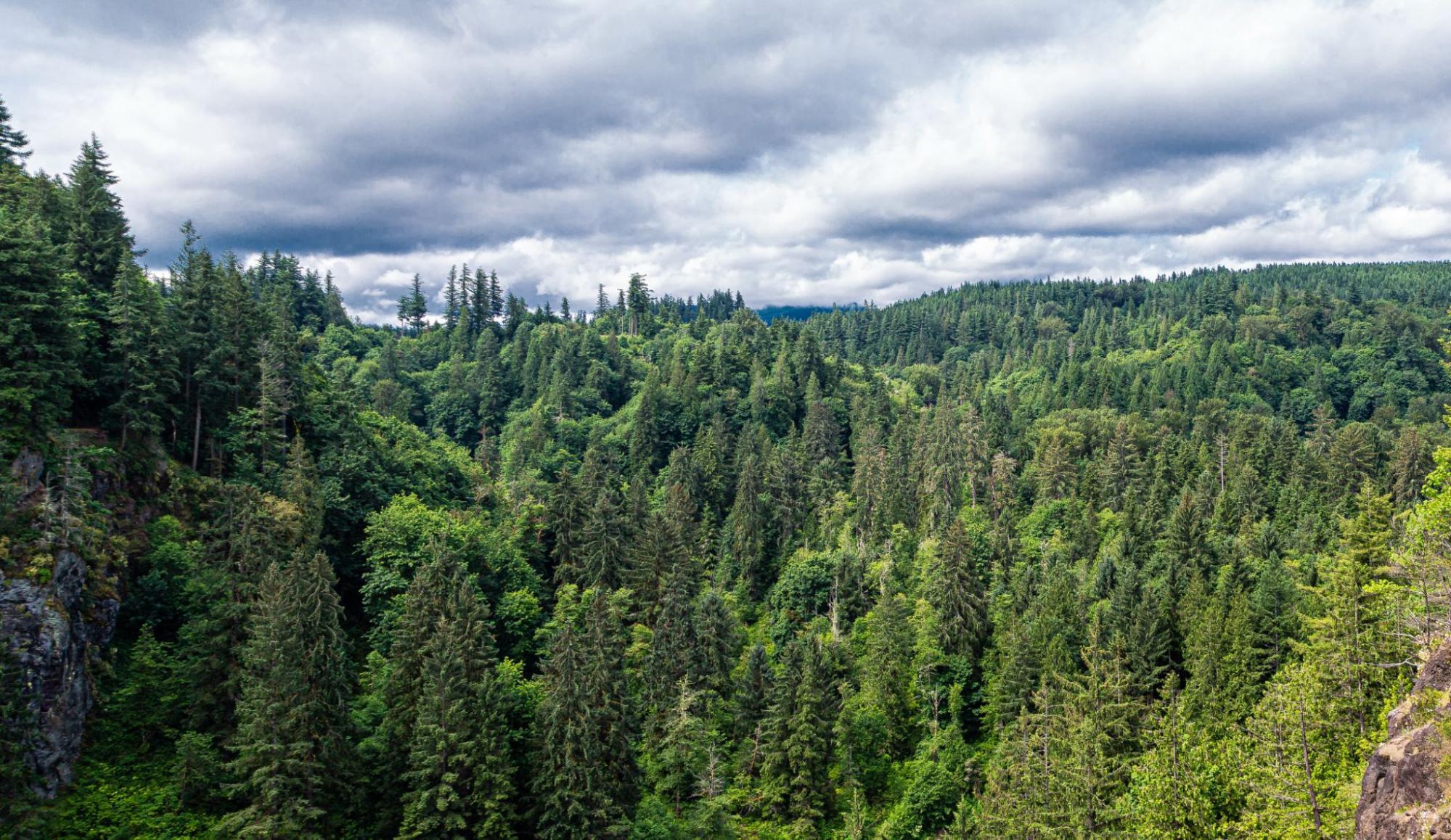 Placeholder for Redmond city photo